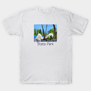 Bigelow Hollow State Park, Connecticut T-Shirt